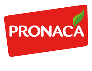 Pronaca